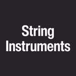 String Instruments at Heid Music