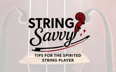 String Savvy Title
